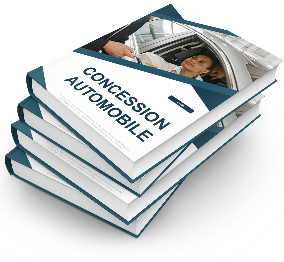 Concession Automobile - Pack PRO++