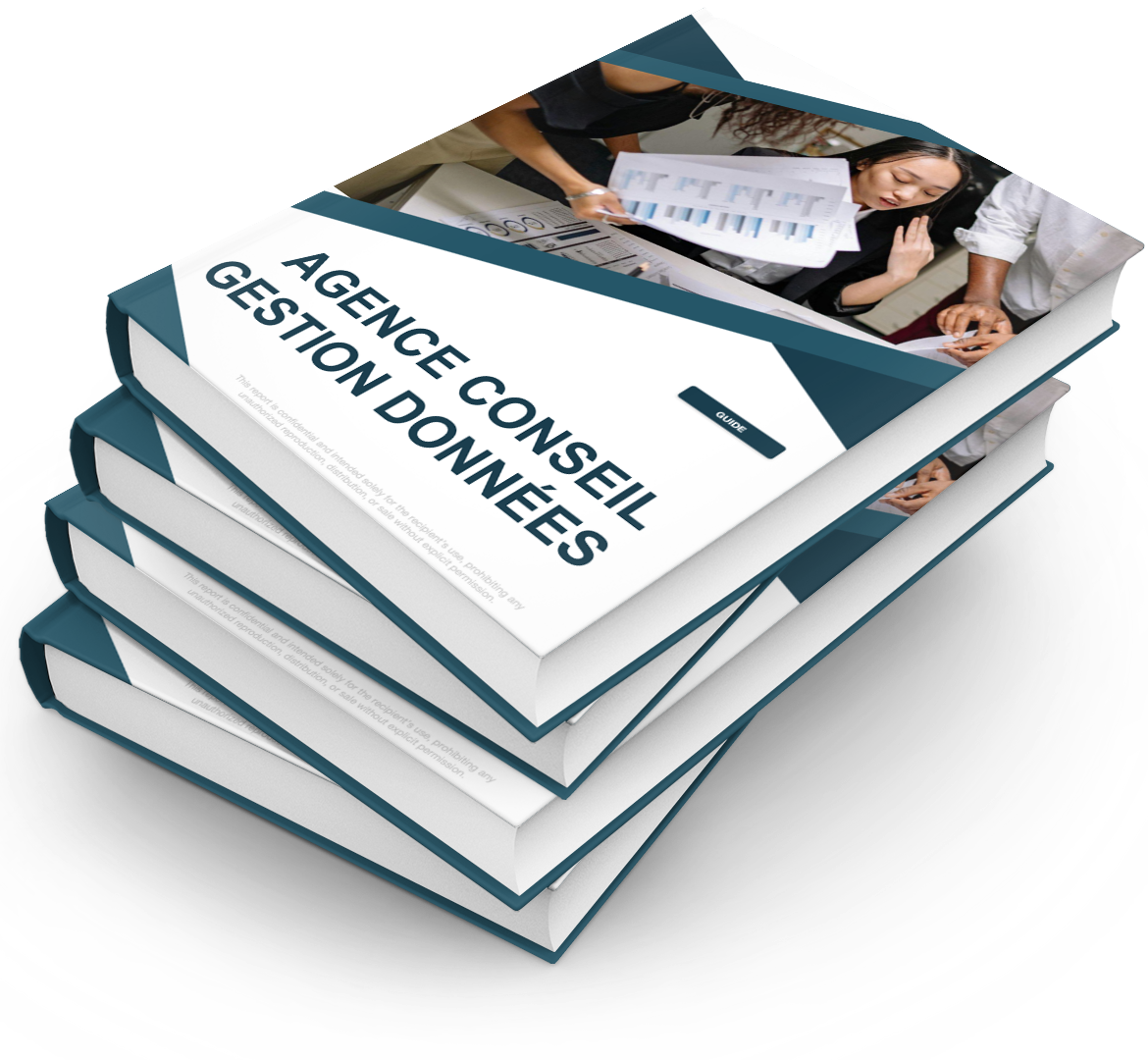 Agence Conseil Gestion Données - Pack PRO++