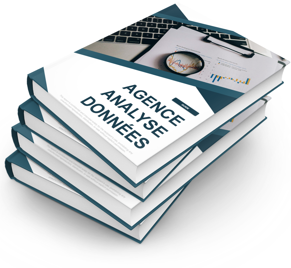 Agence Analyse Données - Pack PRO