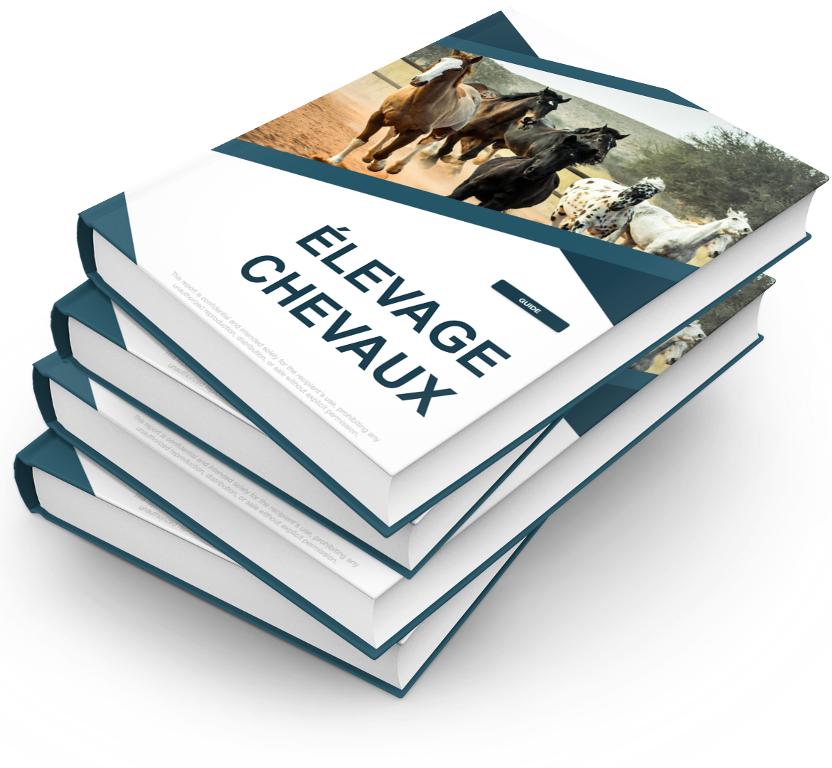 Élevage Chevaux - Pack PRO+