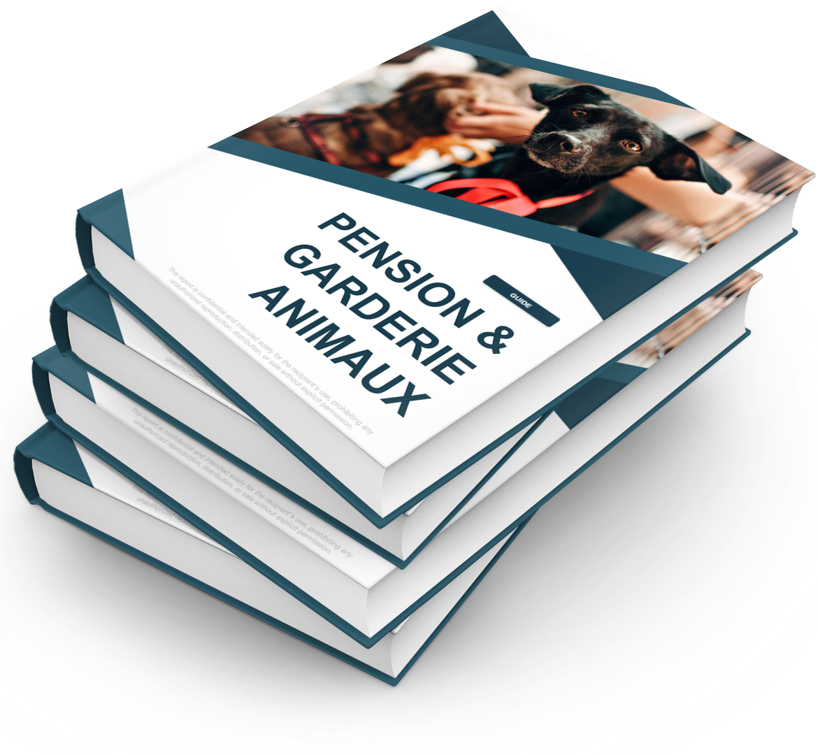 Pension & Garderie Animaux - Pack PRO++