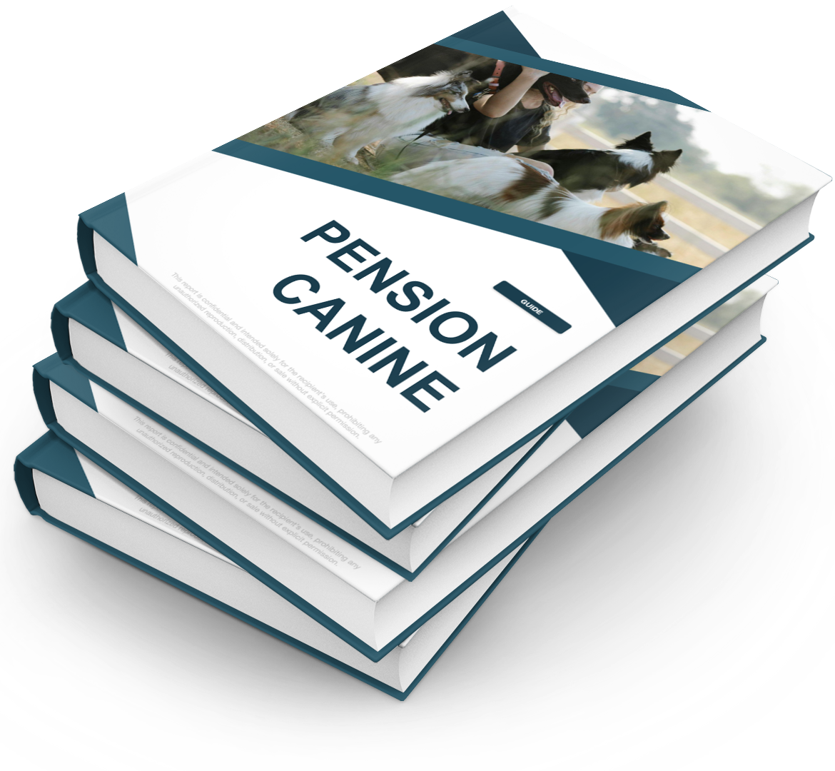 Pension Canine - Pack PRO+