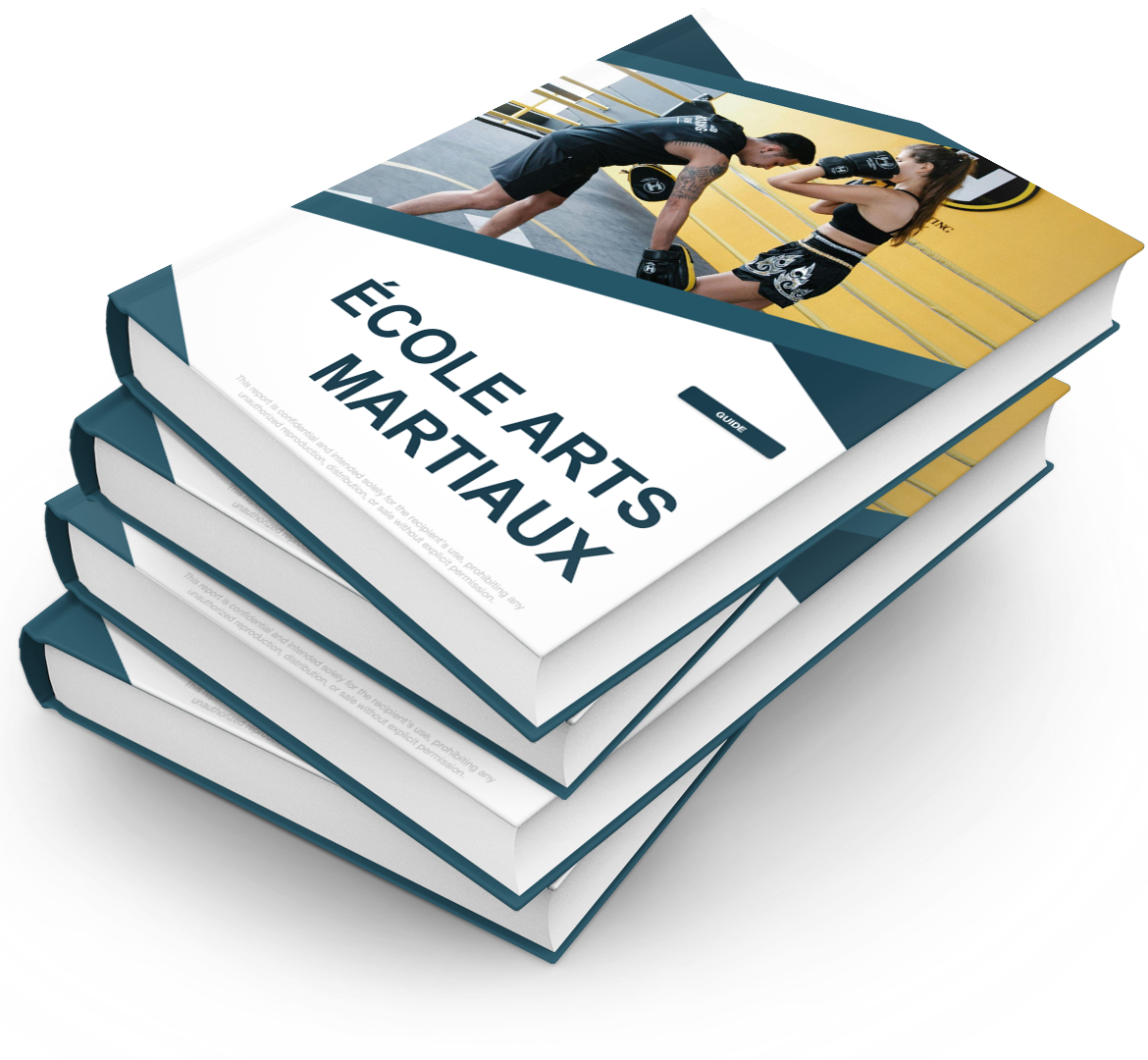 École Arts Martiaux - Pack PRO