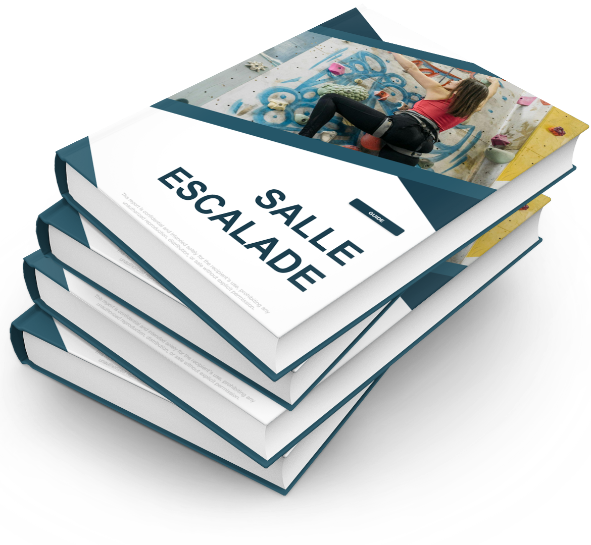 Salle Escalade - Pack PRO++